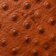 Vegan leather texture 15