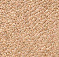 Vegan leather texture 02